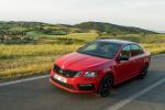 Skoda Octavia RS 245 2017 года (WW)